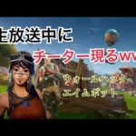 [フォートナイト/FORTNITE]過去最大級のチーター出現ｗｗｗ過去一番のチーターｗｗｗ