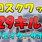 29キルソロスクワッド/29Kill Solo Squad【フォートナイト】【Fortnite】