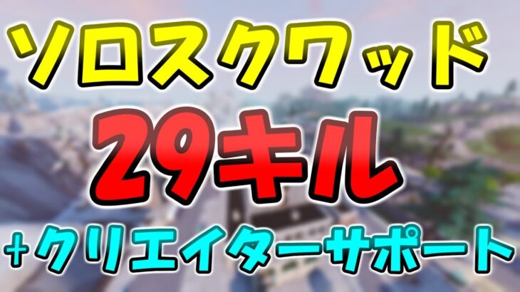 29キルソロスクワッド/29Kill Solo Squad【フォートナイト】【Fortnite】