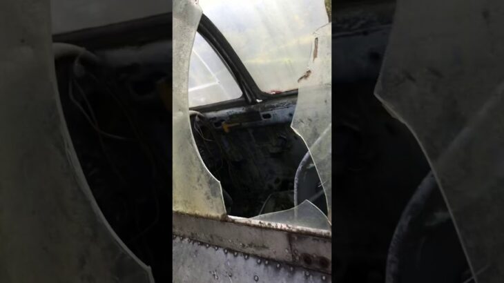 本物の日本軍の戦闘機