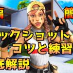 【フォートナイト】弾が当たりまくるフリックショットのコツと練習方法を紹介！【Fortnite】