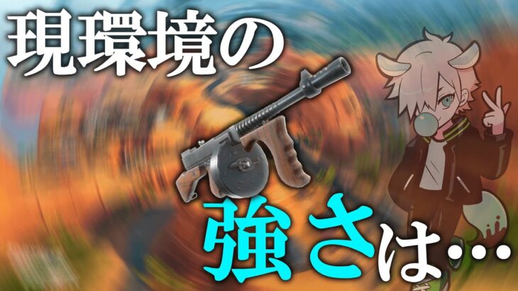 かつてはめちゃくちゃ強かったドラムガンの現在は…？【フォートナイト/FORTNITE 実況】