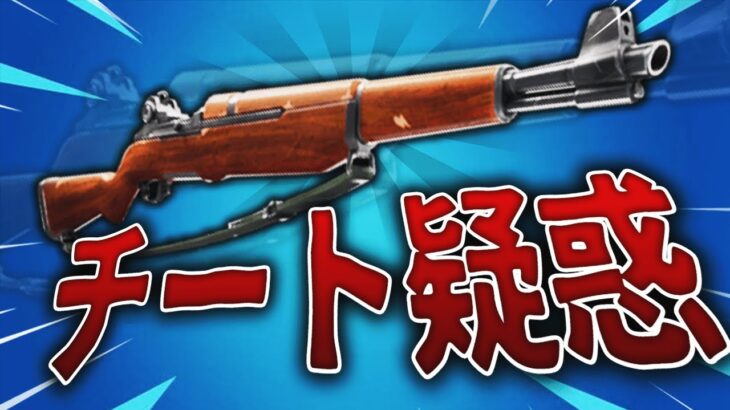 インファントリーライフルを久しぶりに使ったらチート疑われるレベルでヤバすぎたww【フォートナイト/FORTNITE 実況】