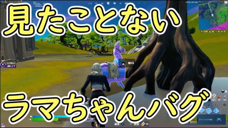 ラマちゃんバグ【フォートナイト】/ Llama bug【Fortnite】