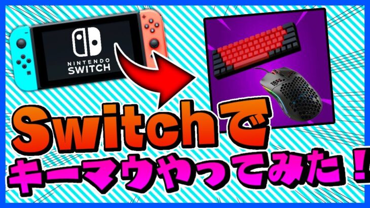 【フォートナイト】キーマウでSwitch版フォトナやってみた！【Fortnite】