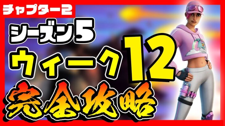 先行公開！シーズン５ウィーク１２チャレンジ(クエスト)完全攻略！ポートレート/肖像画/チューブラマ/シーニックスポット/ゴージャスゴージ/マウントケイ【フォートナイト/fortnite】【レベル上げ】