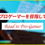 プロゲーマーを目指して/Road to Pro-Gamer【フォートナイト/Fortnite】