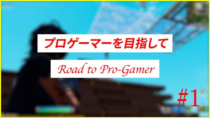 プロゲーマーを目指して/Road to Pro-Gamer【フォートナイト/Fortnite】