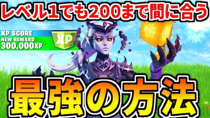 【残り１か月】レベル２００限定スキンを獲得する為に今必要なレベルやレベル１でも余裕で間に合う方法！！【フォートナイト】レベル上げ　小技　経験値稼ぎ