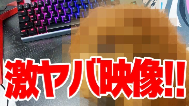 【無修正版】プロゲーマーの部屋紹介撮影中に起きた放送事故映像【フォートナイト/FORTNITE】