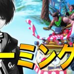 公式のプレイヤーが規約違反のチーミングしている現場を見ました。【フォートナイト/Fortnite】