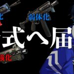 「現状壊れ過ぎている武器」と「武器調整後の評価」について語ります！【フォートナイト/Fortnite】