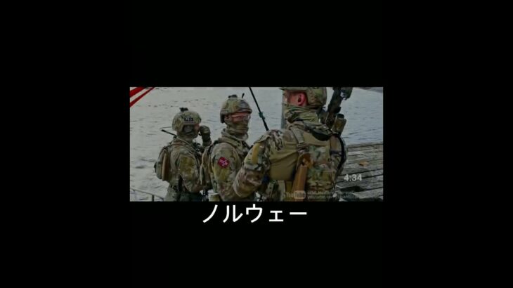 ウクライナ側の国#戦争反対#no war#ウクライナ