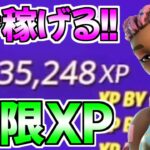 【レベル上げ!!】超爆速で23万XP稼げるチートマップを今だけ紹介！！【フォートナイト/Fortnite】最速,レベル上げ【チャプター3】【シーズン2】【無限XP】