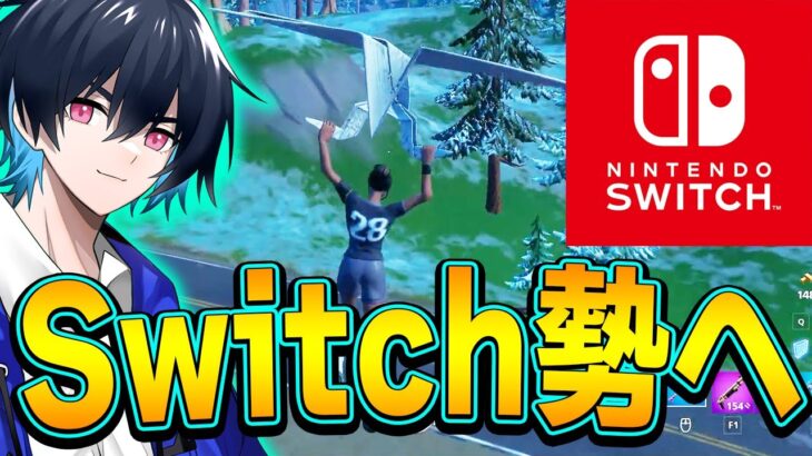 Switch勢や機種で悩んでるフォートナイトプレイヤーに聞いてほしい。【フォートナイト/Fortnite】