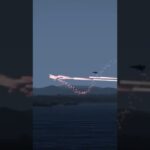 ウクライナ軍に撃墜されたロシアの戦闘機