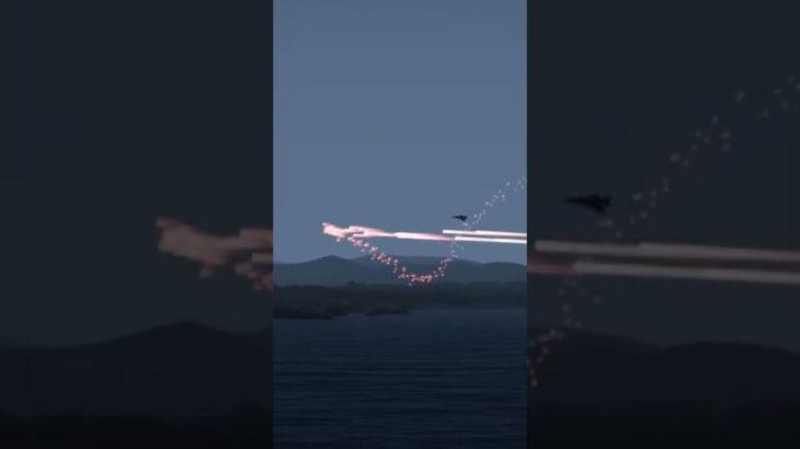 ウクライナ軍に撃墜されたロシアの戦闘機