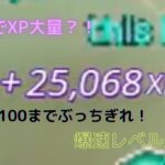 【レベル上げ】1分間で100000XP？ボタン押すだけ最速レベル上げ！【フォートナイト】【fortnite】【Fortnite】