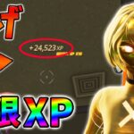 【修正前に急げ!】最新無限XP7選をあなただけに教えます！xp glitch,簡単,バグ,0709【シーズン3】【チャプター3】【フォートナイト】