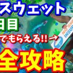 ノースウェットサマークエスト13日目 完全攻略【フォートナイト攻略】