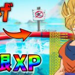 【修正前に急げ!】最新無限XP3選をあなただけに教えます！xp glitch,簡単,バグ,0817【シーズン3】【チャプター3】【フォートナイト】