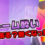 【無くなった？ストーム酔い】あるって人もいればないって人も…真相は！クエスト攻略解説など チャプター3シーズン4新要素イロイロ検証動画 第733弾【フォートナイト / Fortnite】