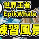 【建築上手すぎ】世界王者EpikWhaleの練習風景【フォートナイト/Fortnite】【配信切り抜き】