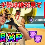 【最速レベル上げ無限XP】経験値をたくさん稼ぎたいスイッチ勢は絶対に見て！【シーズン1】【チャプター4】【フォートナイト】0106