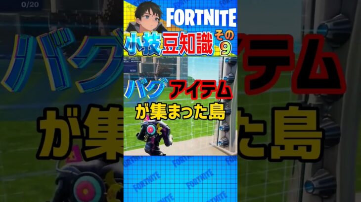 【Fortnite】バグアイテムが集まった島を紹介