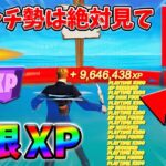 【最速レベル上げ無限XP】経験値をたくさん稼ぎたいスイッチ勢は絶対に見て！【シーズン1】【チャプター4】【フォートナイト】0201