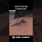 新型コロナウイルスはこんなに小さい