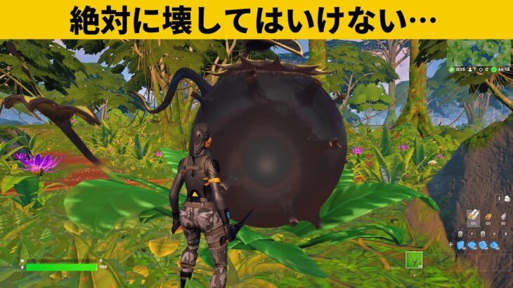 【小技３選】新しく追加された実のチート技がやばい…！最強バグ小技裏技集！【FORTNITE/フォートナイト】