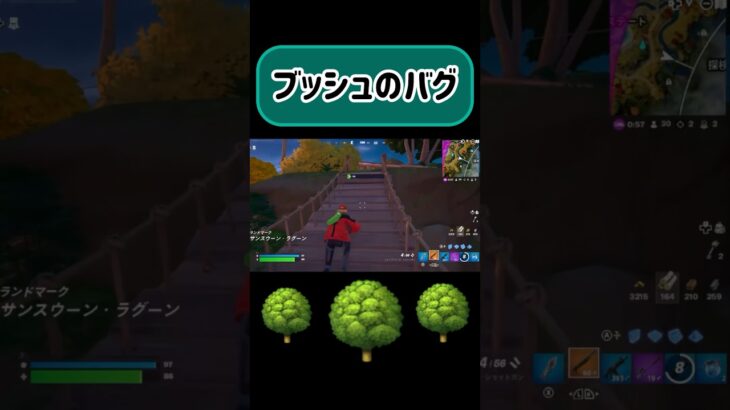 【バグ】ブッシュに変化が…。bush bug【フォートナイト/Fortnite】#シーズン4 #season4