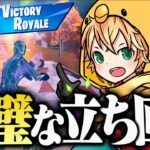 完璧な終盤立ち回りでソロキャッシュ決勝ビクロイ！/solo cash FInals $100【FORTNITE/フォートナイト】