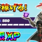 【レベル上げ無限XP】最速レベル200行きたい人のための最新クリエイティブマップ！【シーズン4】【フォートナイト】1024