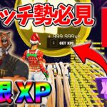 【最速レベル上げ無限XP】経験値をたくさん稼ぎたいスイッチ勢は絶対に見て！【チャプター5】【シーズン1】【フォートナイト】1206