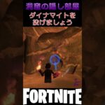 【LEGO】洞窟の隠し部屋【フォートナイト/Fortnite】【C5S1】