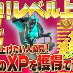 【フォートナイト無限XP】最速レベル上げ！大量のXPが獲得できる秘密のマップをご紹介します！フォートナイトでレベル上げしたい人必見！300レベルを超えたい人は絶対見てください！ #fortnite