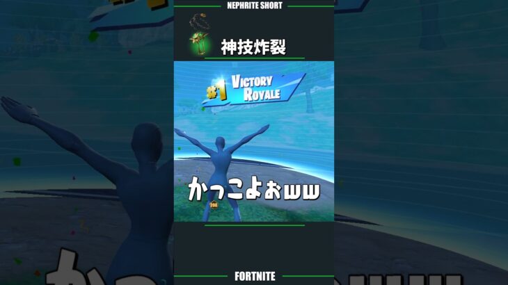 大会中に神業！？プロも驚愕のハメ技でビクロイｗｗｗ【フォートナイト/Fortnite】