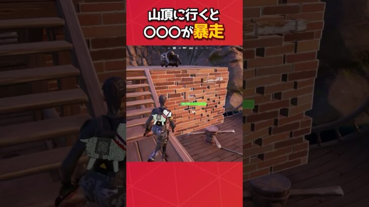 雪山で発見されたバグ2選！#フォートナイト #fortnite #フォトナ #グリッチ #バグ #裏技 #小技 #bug #glitch