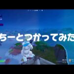 【フォートナイト/Fortnite】ちーとつかってみた