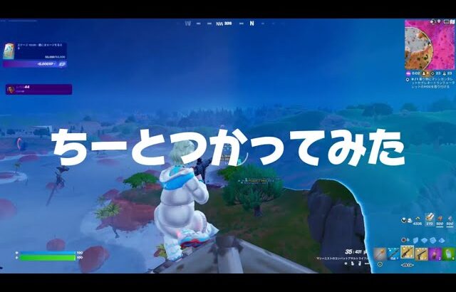 【フォートナイト/Fortnite】ちーとつかってみた