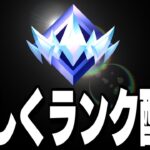 22時までソロランク!【フォートナイト】