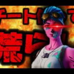 チート使って荒らしてみたWW【フォートナイト/Fortnite】