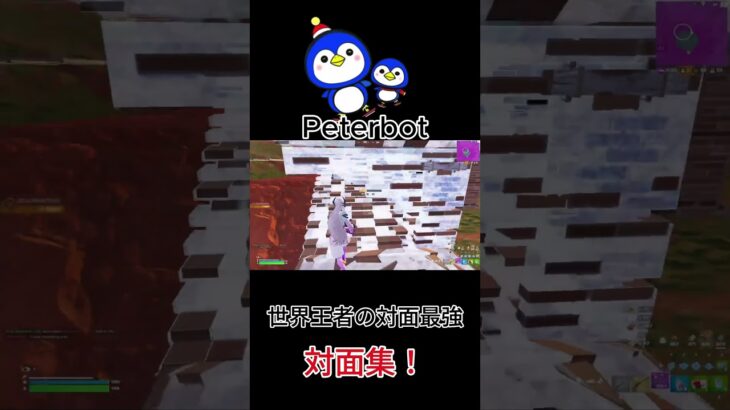 世界王者の対面最強Peterbotがソロ大会で無双する対面集がヤバかった！