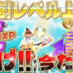 【フォートナイト無限XP】初心者でもフェリーナを簡単にGET！来シーズンまでにバトルパスをコンプリートしたい人必見！レールに乗るだけでレベルUPできる方法がヤバイwww  #fortnite