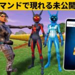 【小技８選】未公開スキンを出現させるチートコマンド！最強バグ小技裏技集！【FORTNITE/フォートナイト】