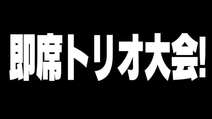 即席トリオで大会頑張りまーす!!【フォートナイト/Fortnite】