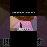 プロを怒らせたらこうなりますｗ【フォートナイト/FORTNITE】