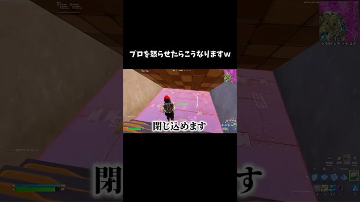 プロを怒らせたらこうなりますｗ【フォートナイト/FORTNITE】